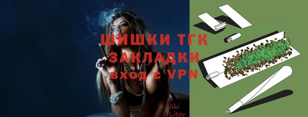 крисы Верхний Тагил