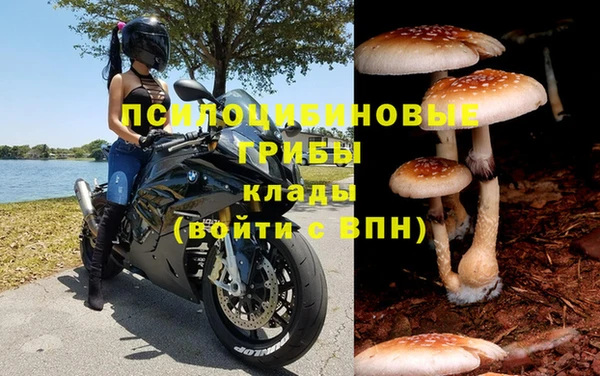 марихуана Бородино