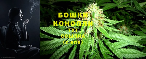 крисы Верхний Тагил