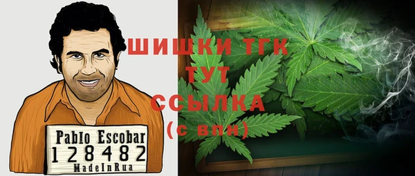 спиды Бугульма