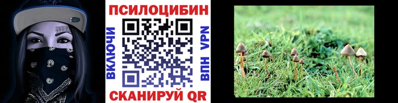 Галлюциногенные грибы ЛСД  Весьегонск 